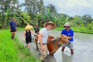 Bali: Attività del villaggio di Legung Luwih Tabanan