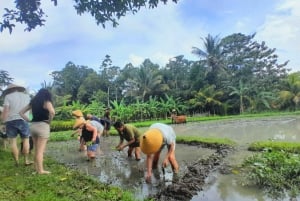 Bali: Attività del villaggio di Legung Luwih Tabanan