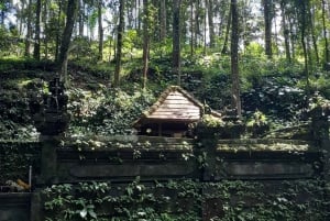 Bali: Attività del villaggio di Legung Luwih Tabanan