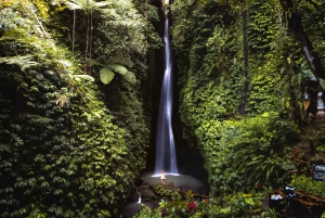Bali: Ubud Rice Terrace & Swing with Optional Waterfall Tour