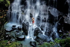 Bali: Ubud Rice Terrace & Swing with Optional Waterfall Tour