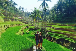 Bali: Leke-Leke Waterfall, Monkey Forest & Jungle Swing Tour