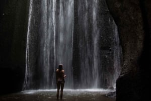 Bali: Lempuyang Quick Access, Waterfall, Water Palace & More