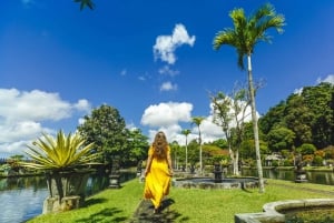 Bali: Lempuyang Quick Access, Waterfall, Water Palace & More