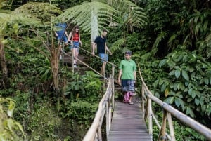 Bali: Snabb tillgång till Lempuyang, vattenfall, vattenpalats och mer