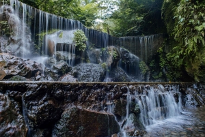 Bali: Lempuyang Quick Access, Waterfall, Water Palace & More