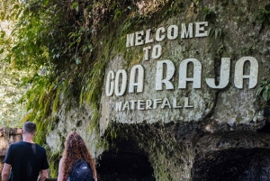 Bali: Lempuyang Quick Access, Waterfall, Water Palace & More