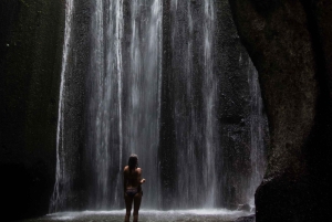 Bali: Lempuyang Quick Access, Waterfall, Water Palace & More