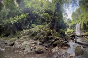 Bali: Lempuyang Temple, Tirta Gangga, and Temesi Waterfall …