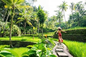 Bali : Visite du temple de Lempuyang, du palais de l'eau et des chutes d'eau.