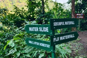 Bali: Lemukih Natural Waterslide & Waterfall Adventure