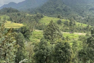 Bali: zjeżdżalnia wodna Lemukih i wędrówka po tarasach ryżowych