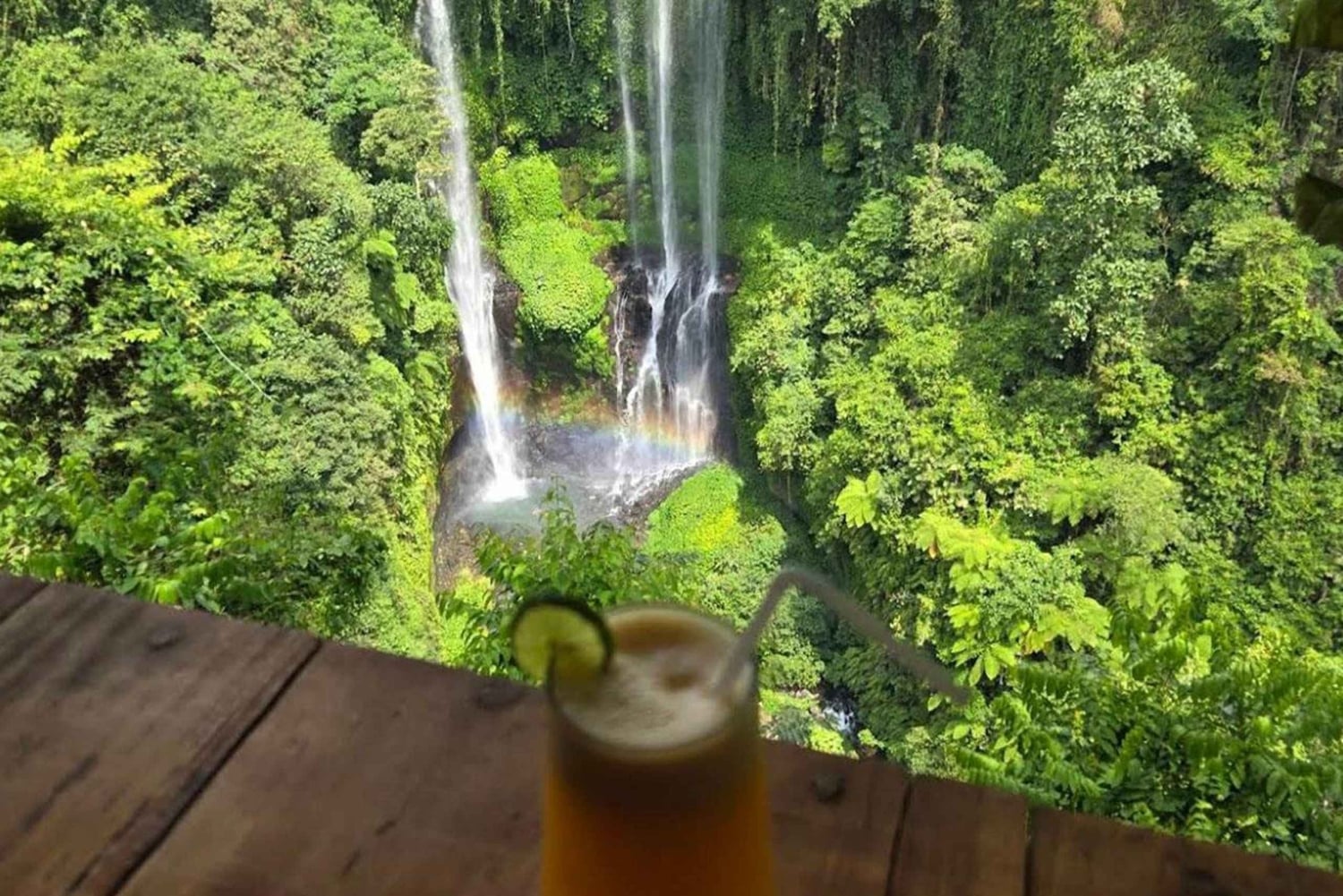 Bali: Lemukih-vannsklie, vannhopping og fossefall