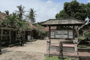 Bali: Visita a un pueblo y una escuela con almuerzo