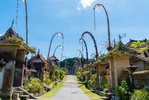 Bali: Visita a un pueblo y una escuela con almuerzo