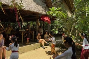 Bali: Visita a un pueblo y una escuela con almuerzo