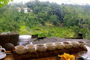 Bali: Visita a un pueblo y una escuela con almuerzo
