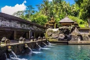 Bali: Visita a un pueblo y una escuela con almuerzo