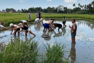 Bali: Visita a un pueblo y una escuela con almuerzo