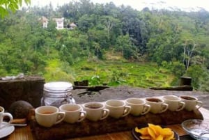 Bali: Visita a uma aldeia local e a uma escola com almoço