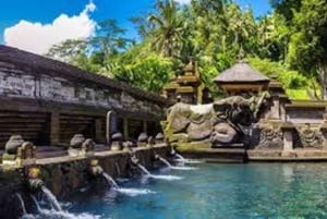 Bali: Visita a uma aldeia local e a uma escola com almoço
