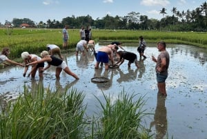 Bali: Visita a uma aldeia local e a uma escola com almoço