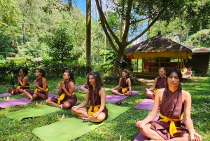 Bali (Lovina): 3-Day Yoga Retreat with Purification Ceremony