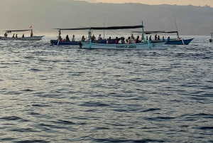 Bali: avistamiento de delfines y snorkel en la playa de Lovina