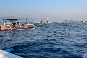 Bali: avistamiento de delfines y snorkel en la playa de Lovina