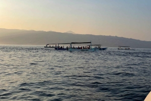 Bali: avistamiento de delfines y snorkel en la playa de Lovina