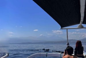 Bali: Delfinbeobachtung am Strand von Lovina und Tour im Westen Balis