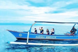 Bali: Delfinbeobachtung am Strand von Lovina und Tour im Westen Balis