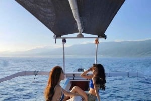 Bali: Delfinbeobachtung am Strand von Lovina und Tour im Westen Balis