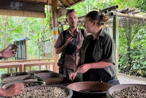Bali: Delfinbeobachtung am Strand von Lovina und Tour im Westen Balis
