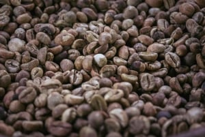Bali: Delfinbeobachtung am Strand von Lovina und Tour im Westen Balis