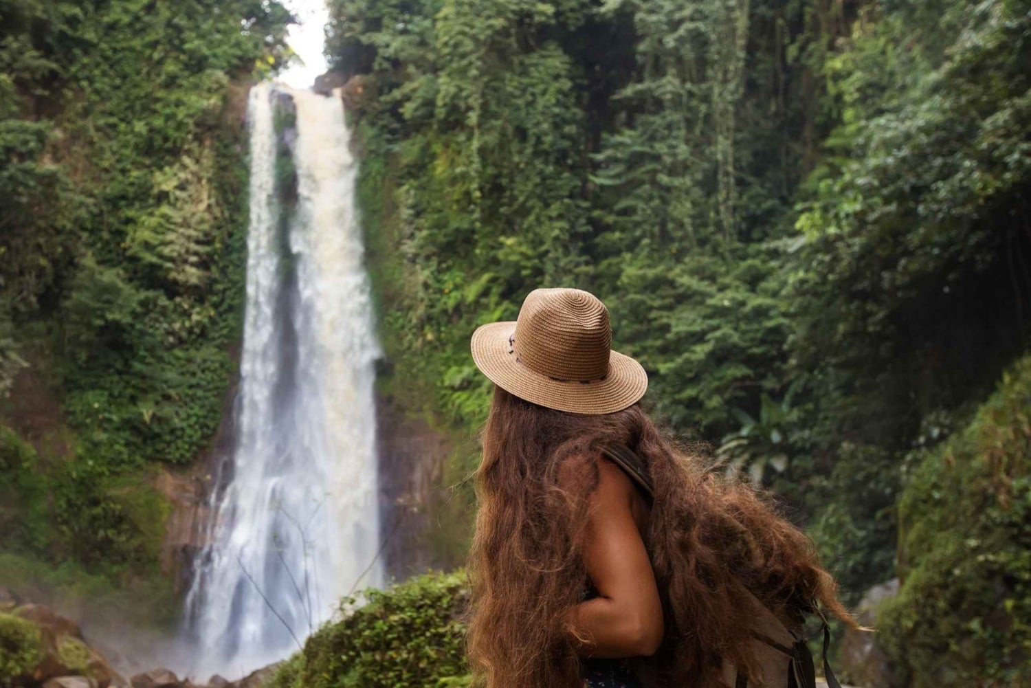Bali/Lovina: Snorkling med delfiner, svømming og fossetur