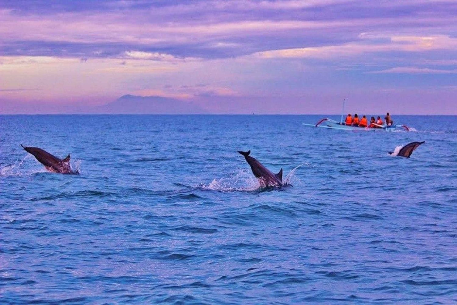 Bali/Lovina: Snorkling med delfiner, svømming og fossetur
