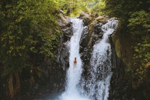 Bali/Lovina: Snorkling med delfiner, svømming og fossetur