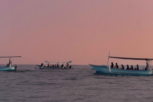 Bali Lovina wycieczka z delfinami i oglądanie wschodu słońca