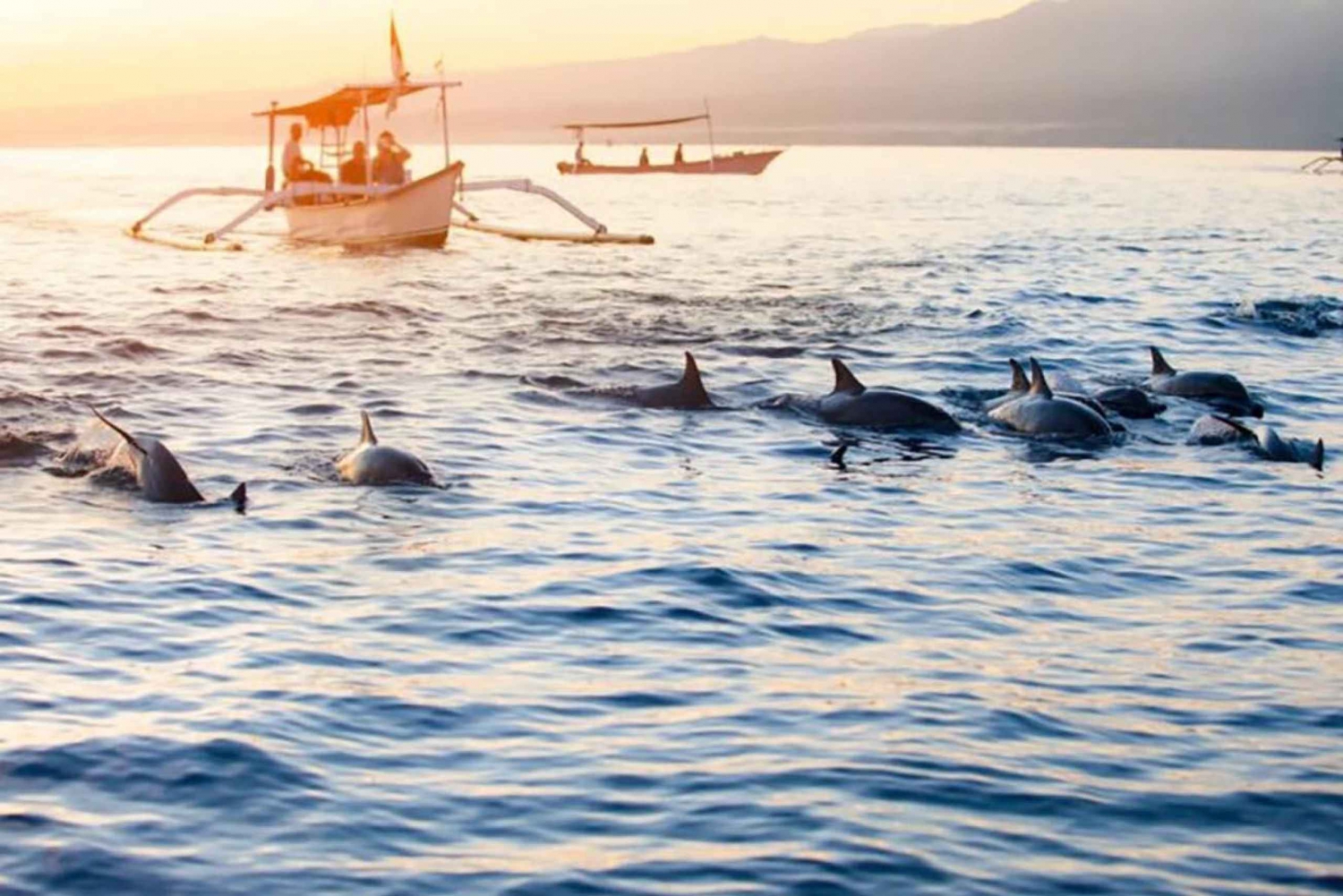 Bali: Lovina Dolphin Watching and Snorkeling Boat Tour