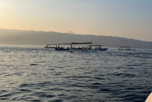 Bali: Lovina – obserwacja delfinów i nurkowanie z rurką na rafie koralowej