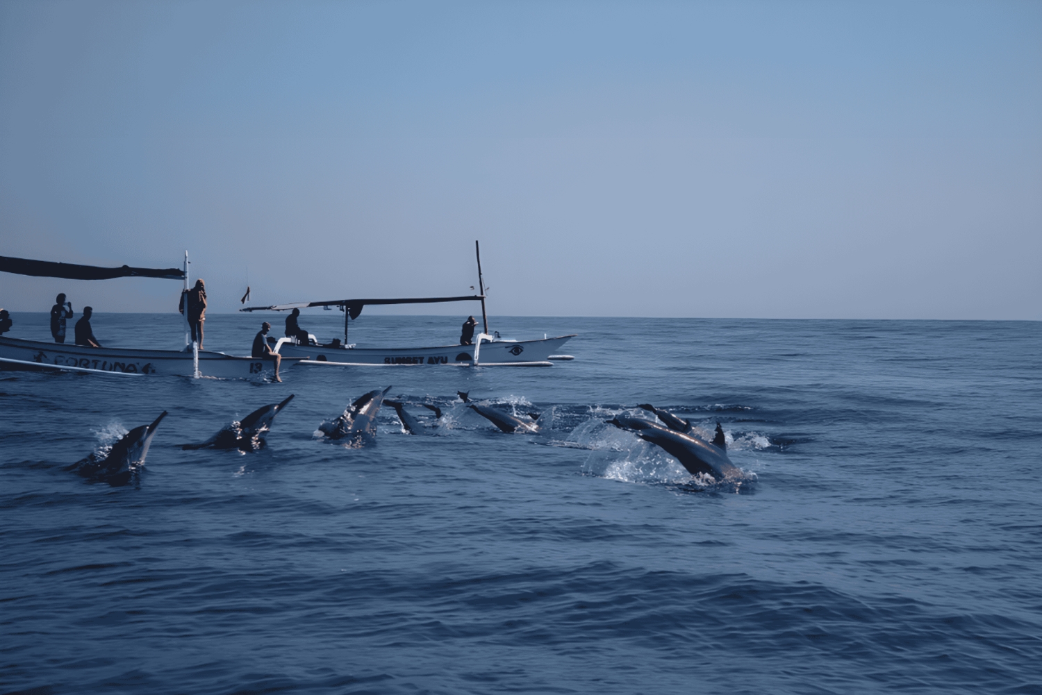 Bali: Lovina Dolphin Watching Tour and Spa Experience