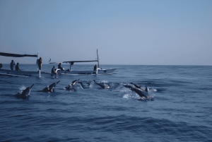 Bali: Lovina Dolphin Watching Tour and Spa Experience