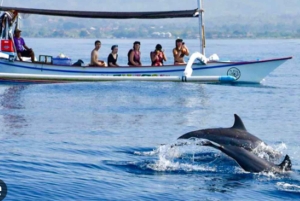 Bali: Lovina Dolphin Watching Tour and Spa Experience