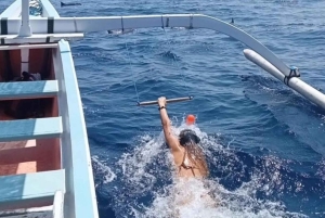 Bali: Lovina Dolphin Watching Tour and Spa Experience