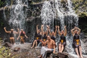 Bali (Lovina): Ceremonia de purificación en la cascada sagrada