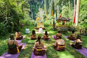 Bali (Lovina): Ceremonia de purificación en la cascada sagrada