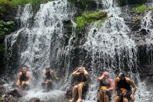 Bali (Lovina): Ceremonia de purificación en la cascada sagrada