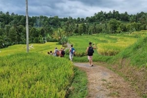 Bali (Lovina): Ceremonia de purificación en la cascada sagrada