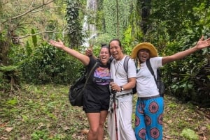 Bali (Lovina): Ceremonia de purificación en la cascada sagrada